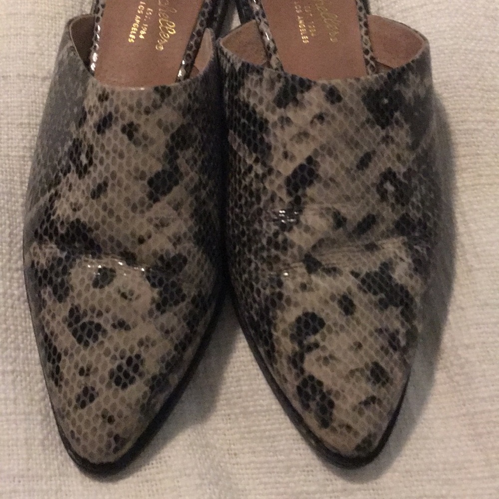 Seychelles Pointed Toe Flats - Picture 5 of 5